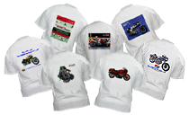 How about some Tshirts?  I got lots of them.