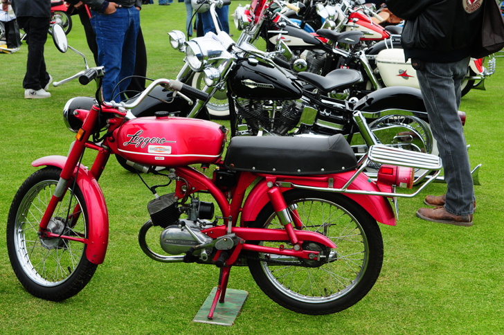FMF_0637