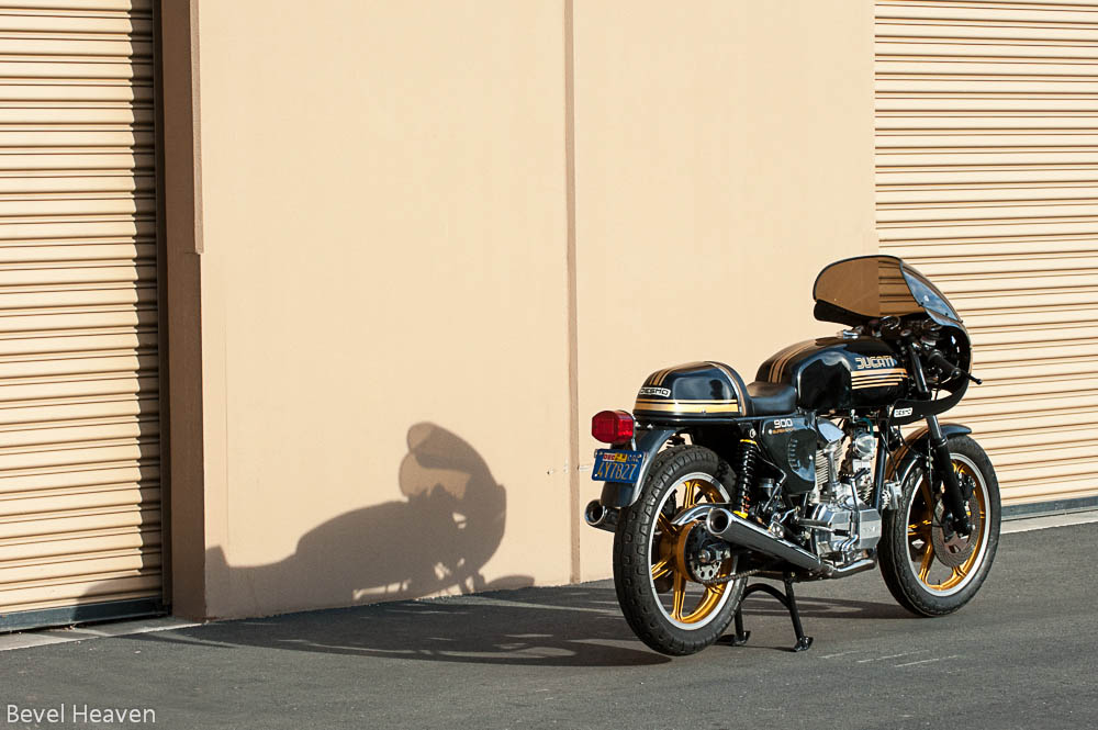 FMF_6295