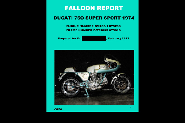 Falloon Report