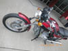 IMGP0047
