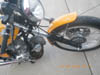 IMGP0062
