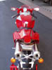 duc6