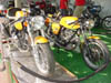 DSC00299
