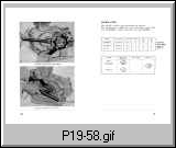 p19-58