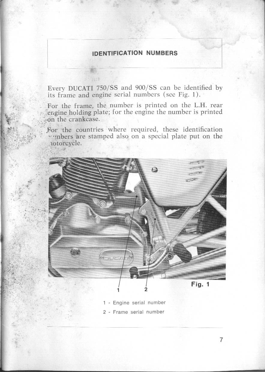 pg7